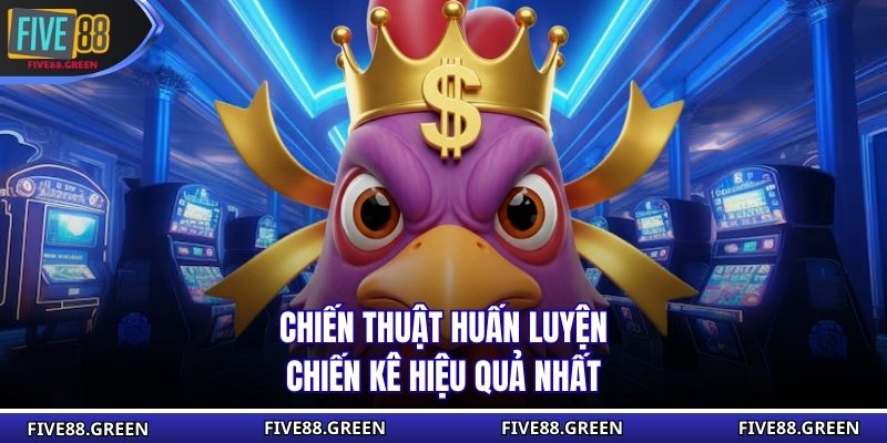 Chiến thuật huấn luyện chiến kê hiệu quả nhất