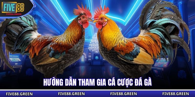 Hướng dẫn tham gia cá cược đá gà