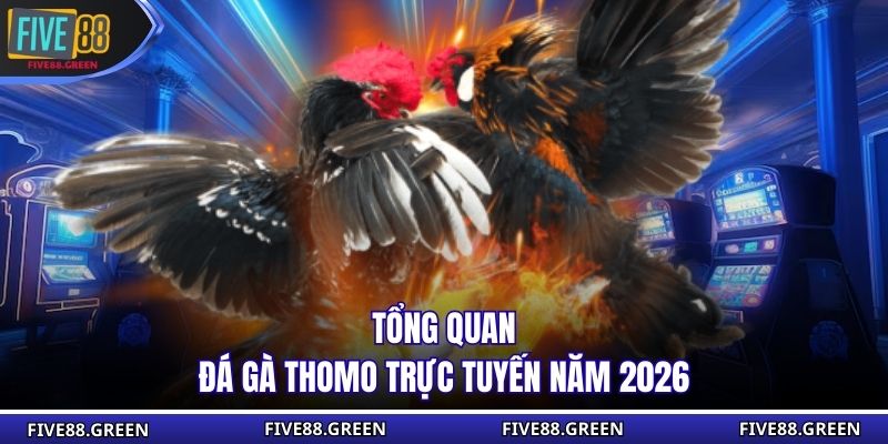 Tổng quan đá gà Thomo trực tuyến năm 2026